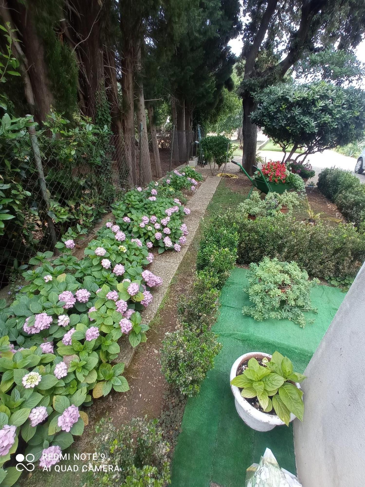 Apartmani Gaga Bibinje Dış mekan fotoğraf