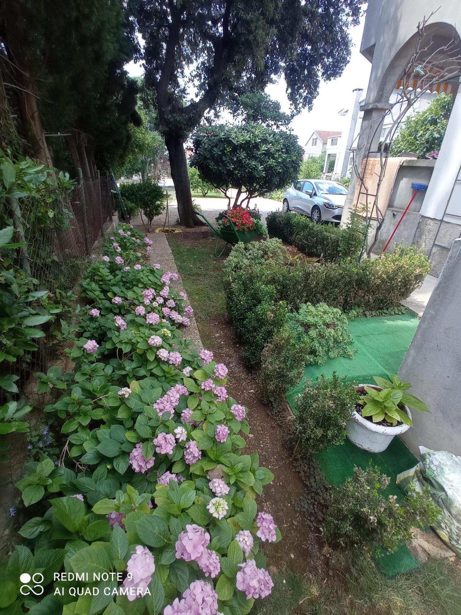 Apartmani Gaga Bibinje Dış mekan fotoğraf